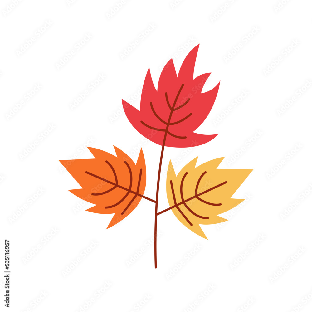 Fototapeta premium Autumn Maple Leaf Illustration