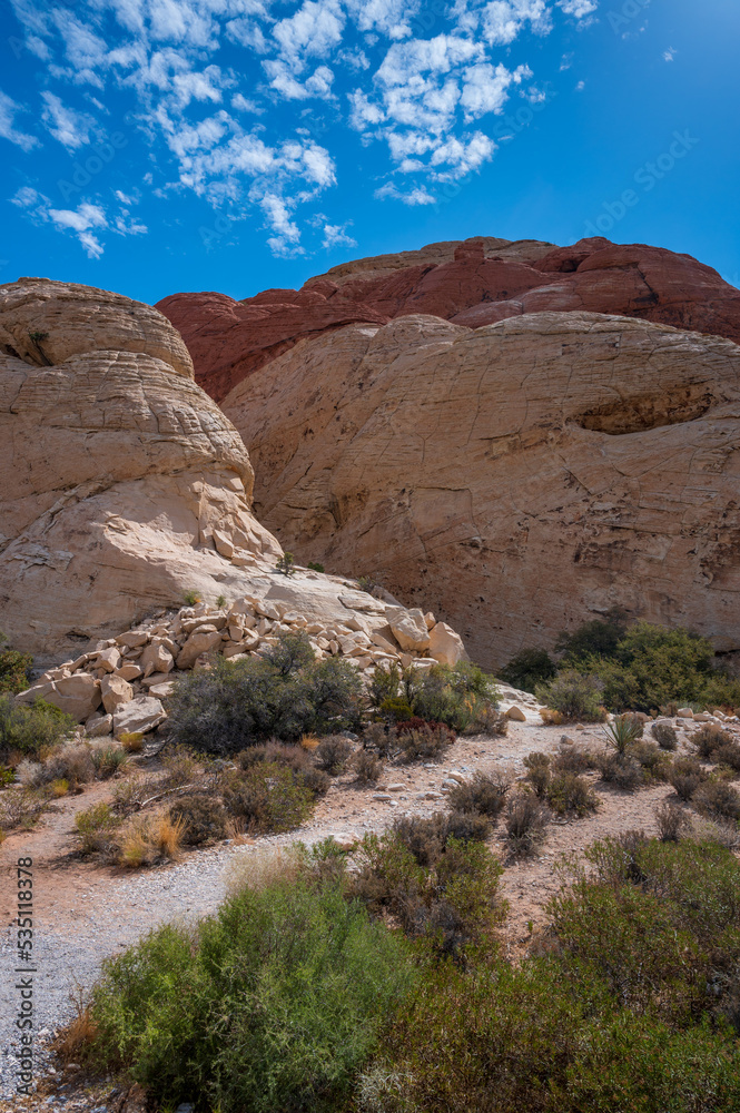 Red Rock Canyon on a Summer Day