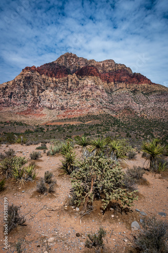 Red Rock Canyon on a Summer Day