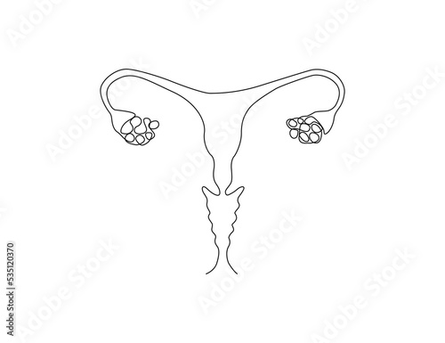 Continuous one line drawing of Ovarium Organ. Human ovarium line art drawing vector illustration.