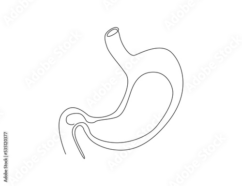 Continuous one line drawing of Stomach organ. Human Gastrointestinal line art drawing vector illustration.
