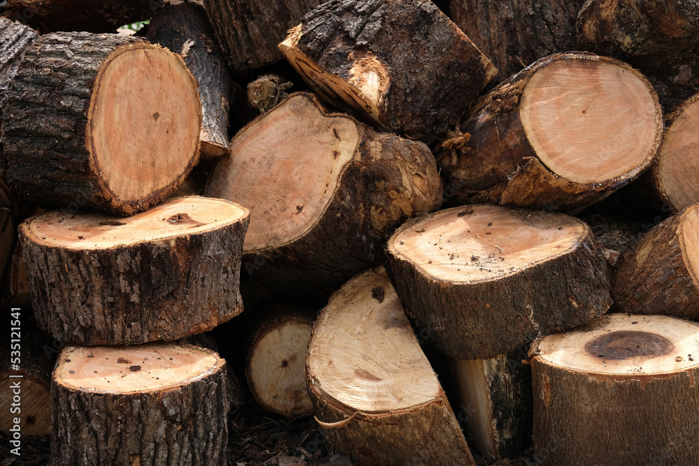 stack of firewood stack of firewood