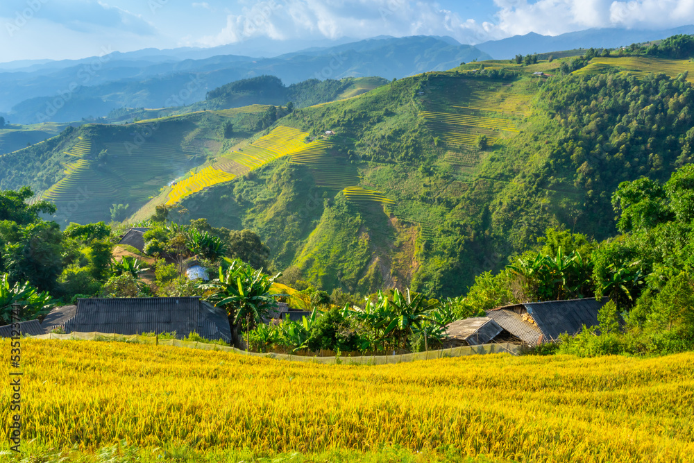 Obraz premium Aerial view of golden rice terraces at Mu cang chai town near Sapa city, north of Vietnam. Beautiful terraced rice field in harvest season in Yen Bai, Vietnam