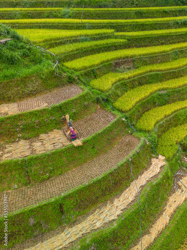 Aerial view of golden rice terraces at Mu cang chai town near Sapa city, north of Vietnam. Beautiful terraced rice field in harvest season in Yen Bai, Vietnam
