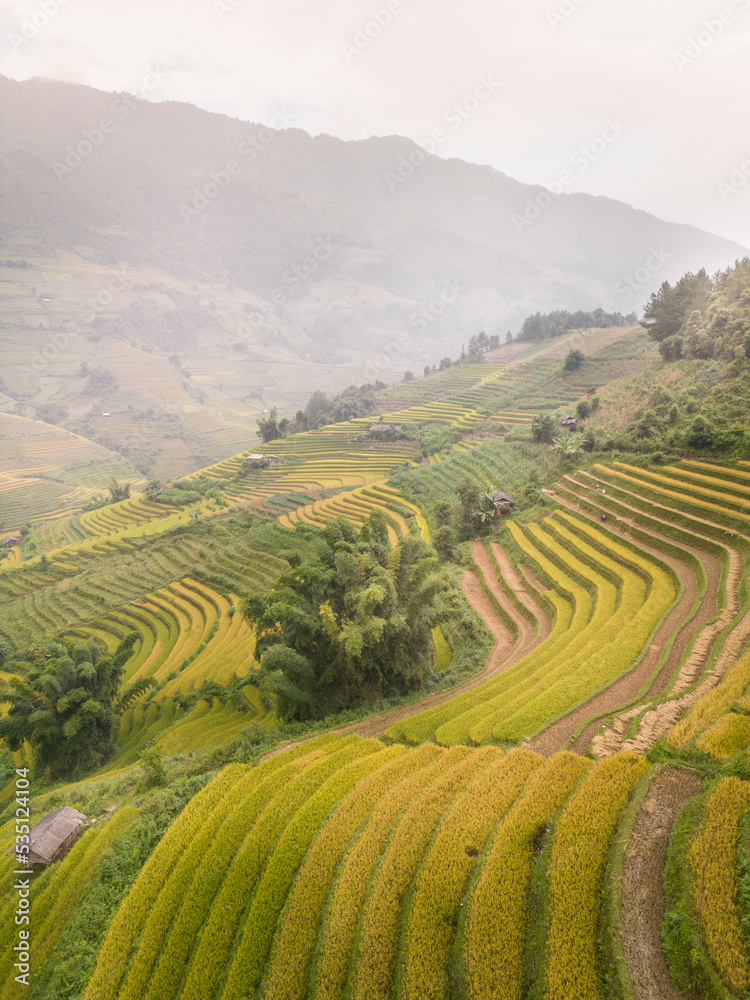 Aerial view of golden rice terraces at Mu cang chai town near Sapa city, north of Vietnam. Beautiful terraced rice field in harvest season in Yen Bai, Vietnam