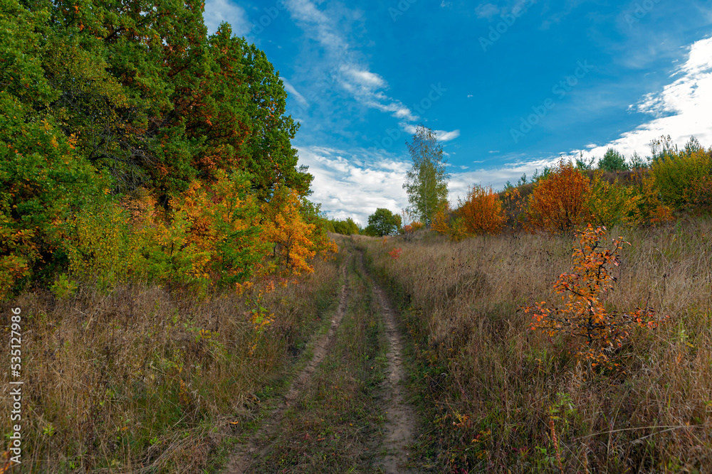 Autumn forest road goes into the blue sky. Autumn forest road goes into the blue sky.