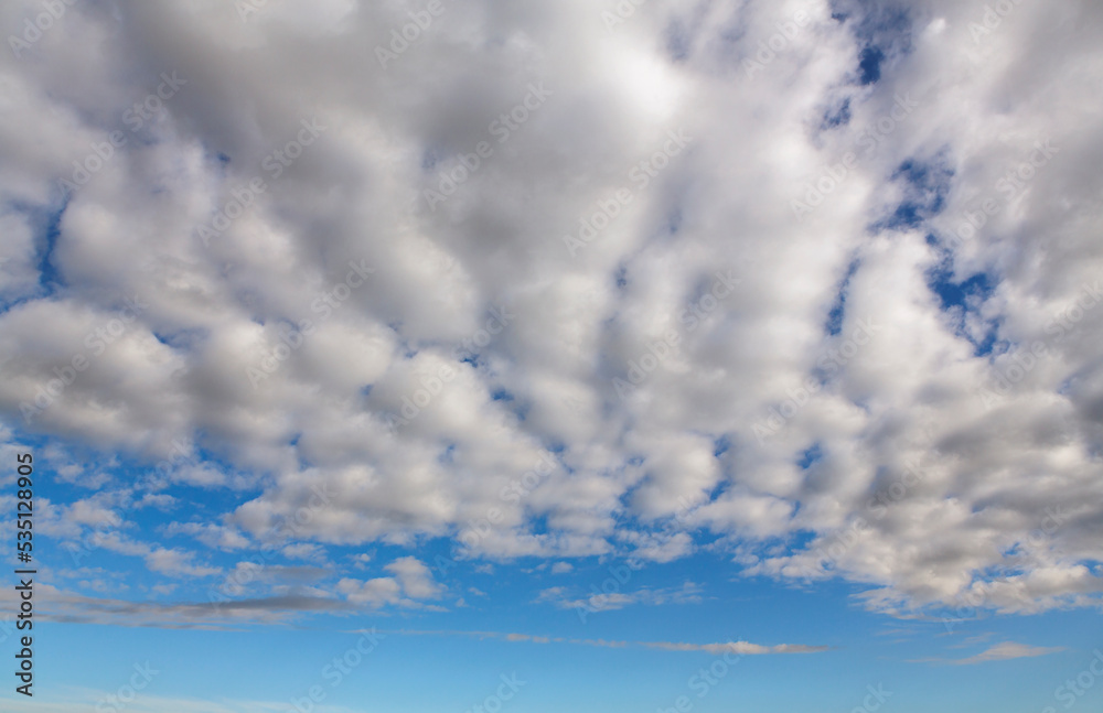 Fototapeta premium Cumulus clouds in a blue sky for background and layer
