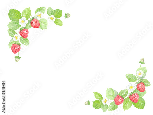 Watercolor painting of strawberry frame 