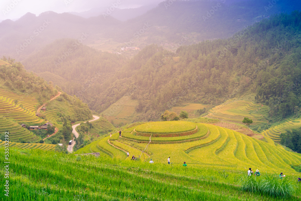 Aerial view of golden rice terraces at Mu cang chai town near Sapa city, north of Vietnam. Beautiful terraced rice field in harvest season in Yen Bai, Vietnam