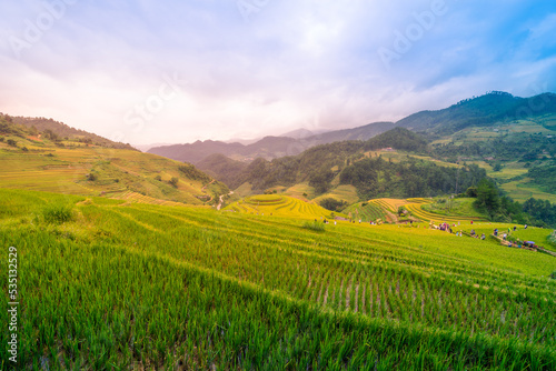 Aerial view of golden rice terraces at Mu cang chai town near Sapa city  north of Vietnam. Beautiful terraced rice field in harvest season in Yen Bai  Vietnam