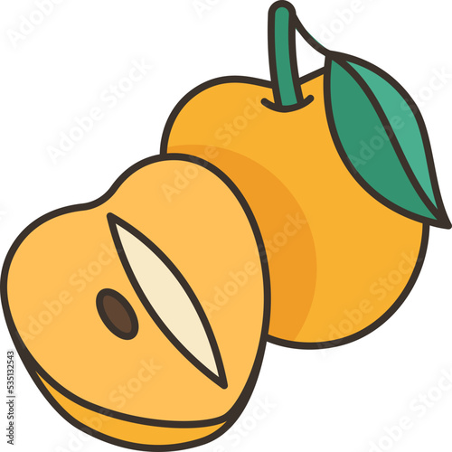 sapodilla icon