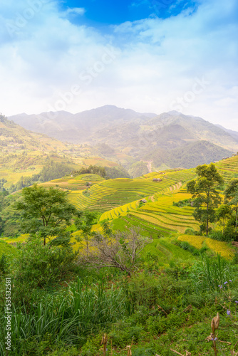 Aerial view of golden rice terraces at Mu cang chai town near Sapa city, north of Vietnam. Beautiful terraced rice field in harvest season in Yen Bai, Vietnam