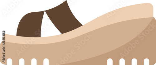 shoes icon