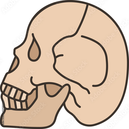skull icon