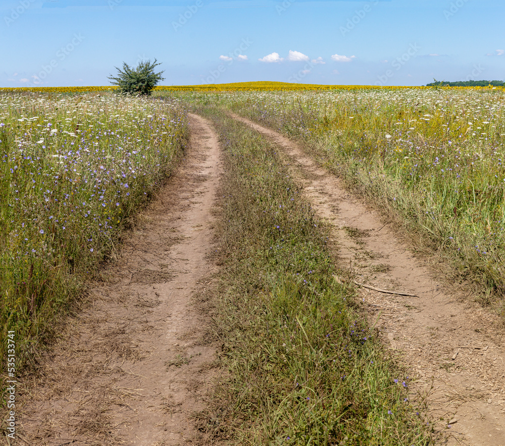 summer, dirt road along the forest and fields with sunflowers. summer, dirt road along the forest and fields with sunflowers.