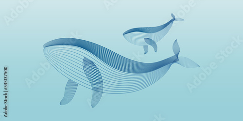 Vector illustration Humpback Whale parent and child by line art texture minimal style isolated on white background.