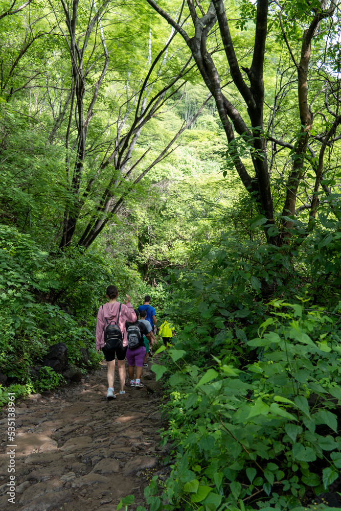 young woman descending in the ravine, vegetation and trees, huentitan ravine guadalajara, mexico young woman descending in the ravine, vegetation and trees, huentitan ravine guadalajara, mexico