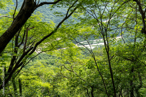 dirty river seen through the huentitan ravine in guadalajara, green vegetation, trees, plants and mountains, mexico