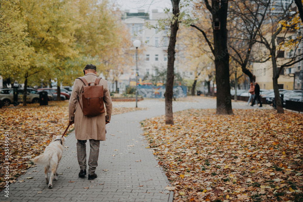 Fototapeta premium Rear view of elegant senior man walking his dog outdoors in city park during cold autumn day.