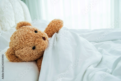 Teddy Bear lying in comfort bed