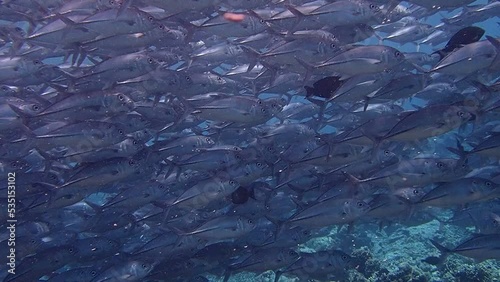 jackfish storm photo