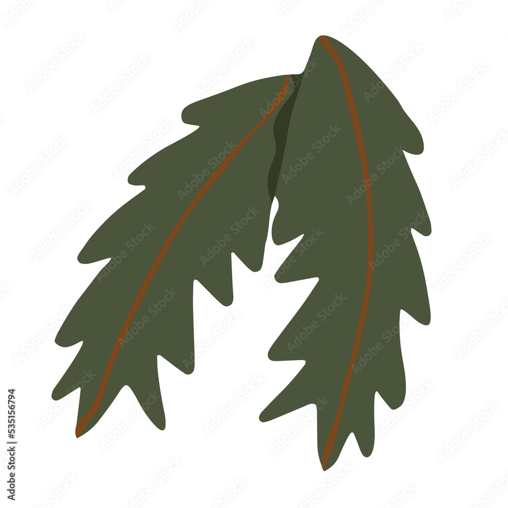 Christmas tree branches, Christmas tree on white background. Christmas tree branches, Christmas tree on white background.