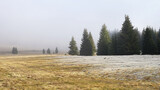 Morning fog with frozen grass in Ore Mountains (Krusne hory), Czech Republic