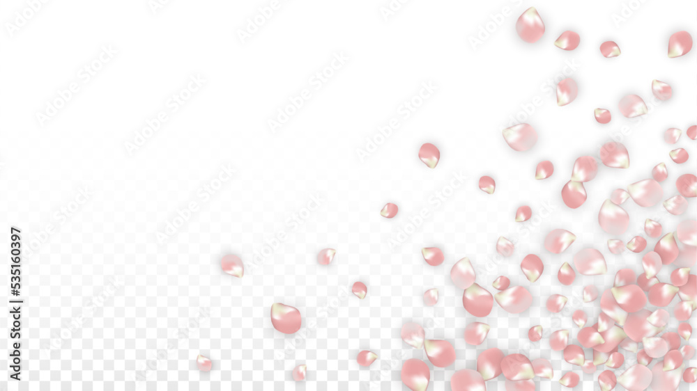 Pink Vector Realistic Petals Falling on Transparent Background. Spring Romantic Flowers Illustration. Flying Petals. Sakura Spa Design. Blossom Confetti. Design Elements for Wedding Decoration. Pink Vector Realistic Petals Falling on Transparent Background. Spring Romantic Flowers Illustration. Flying Petals. Sakura Spa Design. Blossom Confetti. Design Elements for Wedding Decoration.