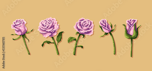 Detailed Rose Collection Set photo