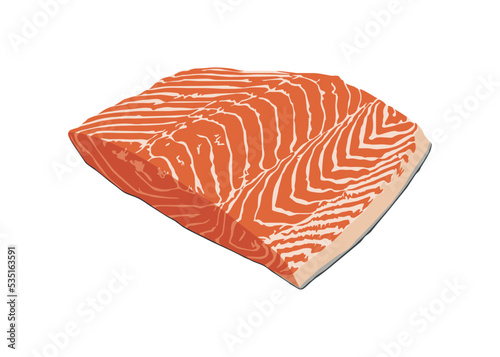 Image of the Fillet Salmon Fish Meat. Vector Illustration