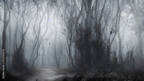 High mystical forest, the road to an unexpected adventure.