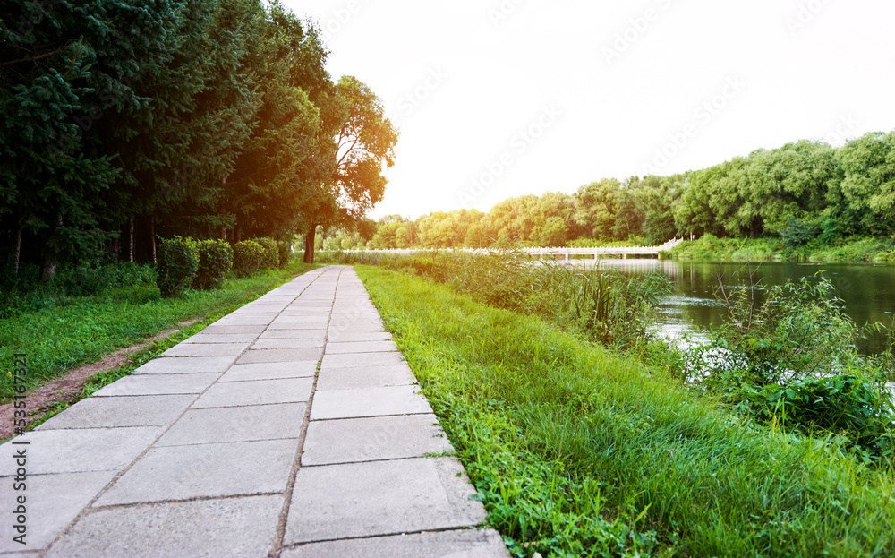 Obraz premium Path through the forest with lake