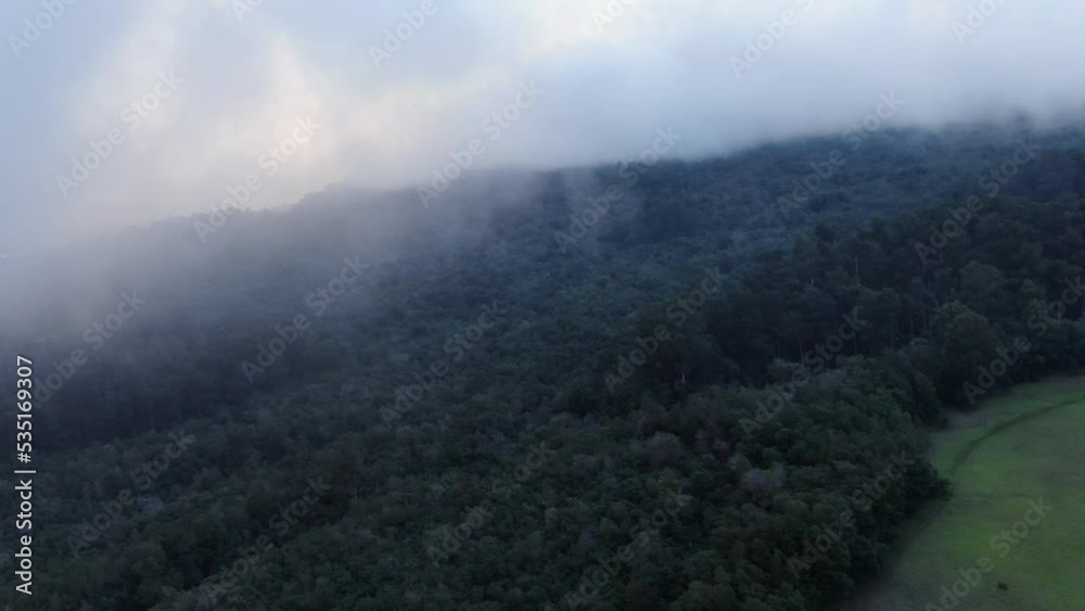 UpCountry Maui, Hawaii. Static shot of the Polipoli Forest line covered in moving clouds. UpCountry Maui, Hawaii. Static shot of the Polipoli Forest line covered in moving clouds.