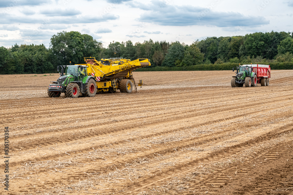 Découseur à Coudre, Découseur Rétro - Outil D'extraction De Fil Vintage | Dissolvant De Déchirure De Fil Métallique, Découseur De Couture De Fil Polyvalent Pour Outil Accessoire De Couture