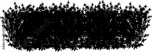 Set of ornamental black plant in the form of a hedge.Realistic garden shrub, seasonal bush, boxwood, tree crown bush foliage.For decorate of a park, a garden or a fence.
