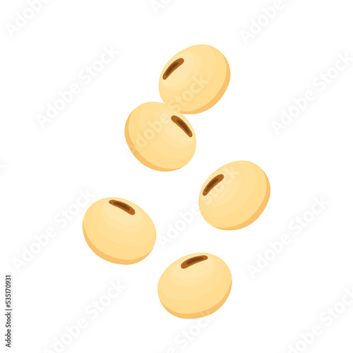 Soybean vector. soybean on white background, Closeup soybeans.