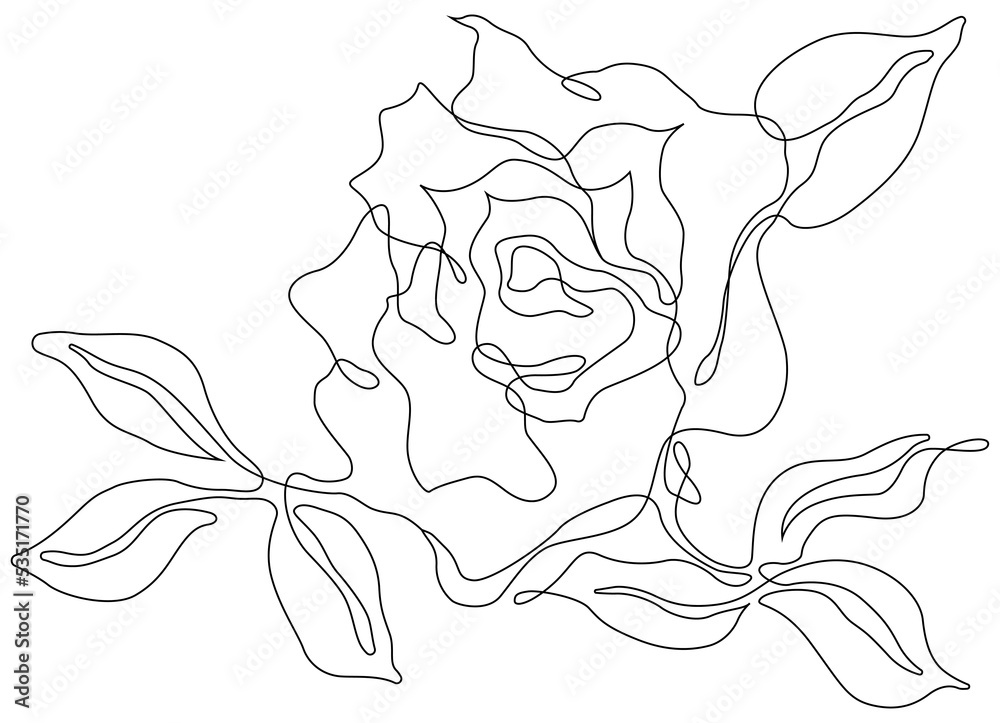 Rose flower isolated on white. Hand drawn continuous line png.
Rose flower isolated on white. Hand drawn continuous line png.