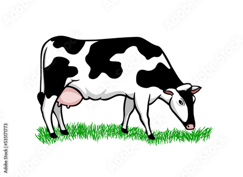 Vector cartoon black and white cow isolated on white background, Dairy products, farming. Vector drawing of a cow eating grass.
