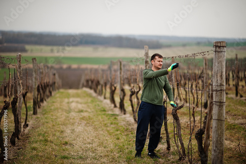Portrait of man working on vineyard. © AS Photo Family