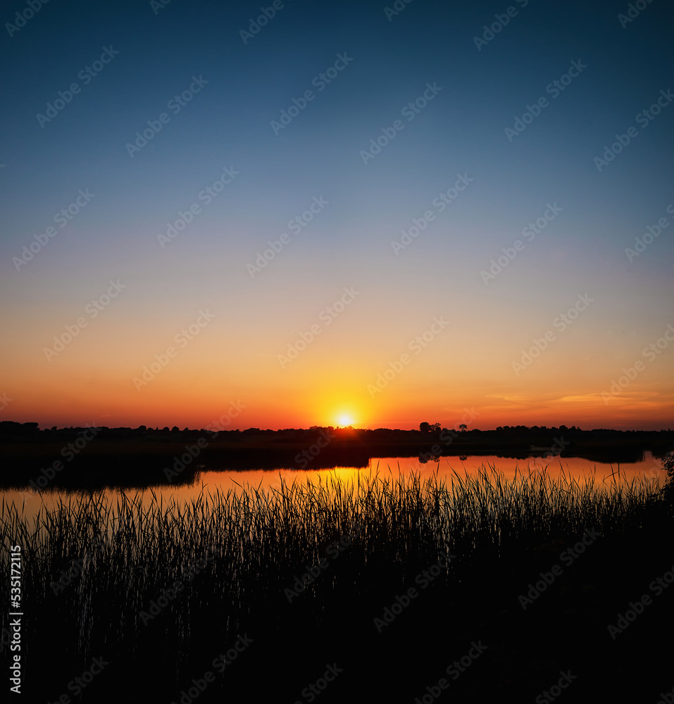 Square photo of a summer sunset over a river with a blue sky in the background and bulrush leaves in the foreground in defocus Square photo of a summer sunset over a river with a blue sky in the background and bulrush leaves in the foreground in defocus