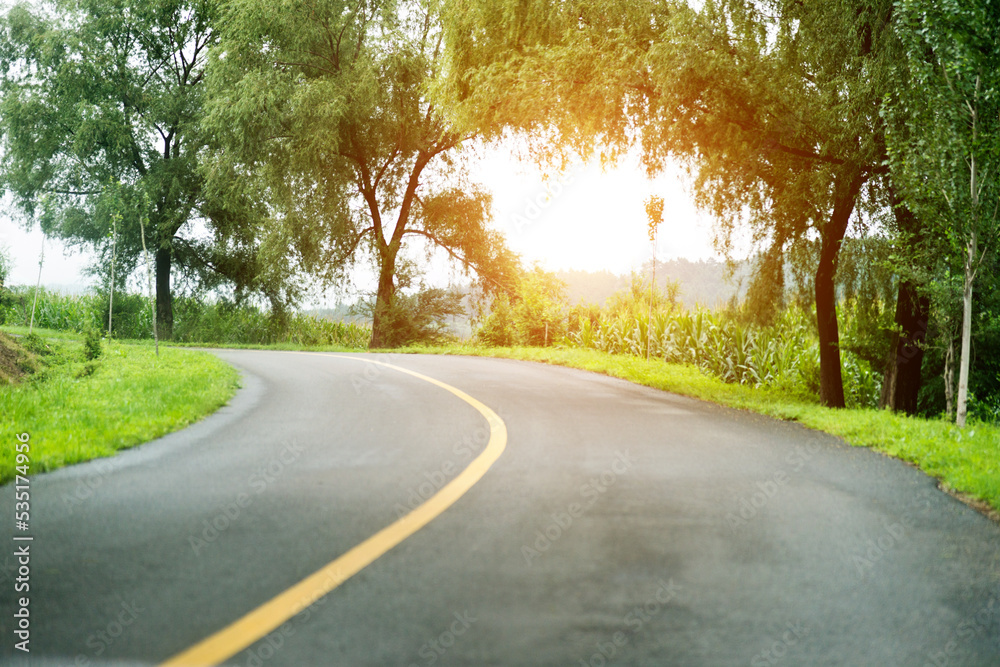 Fototapeta premium Asphalt road through green field in summer day