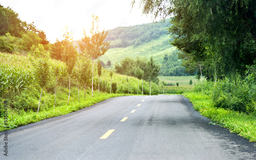 Fototapeta premium Asphalt road through green field in summer day
