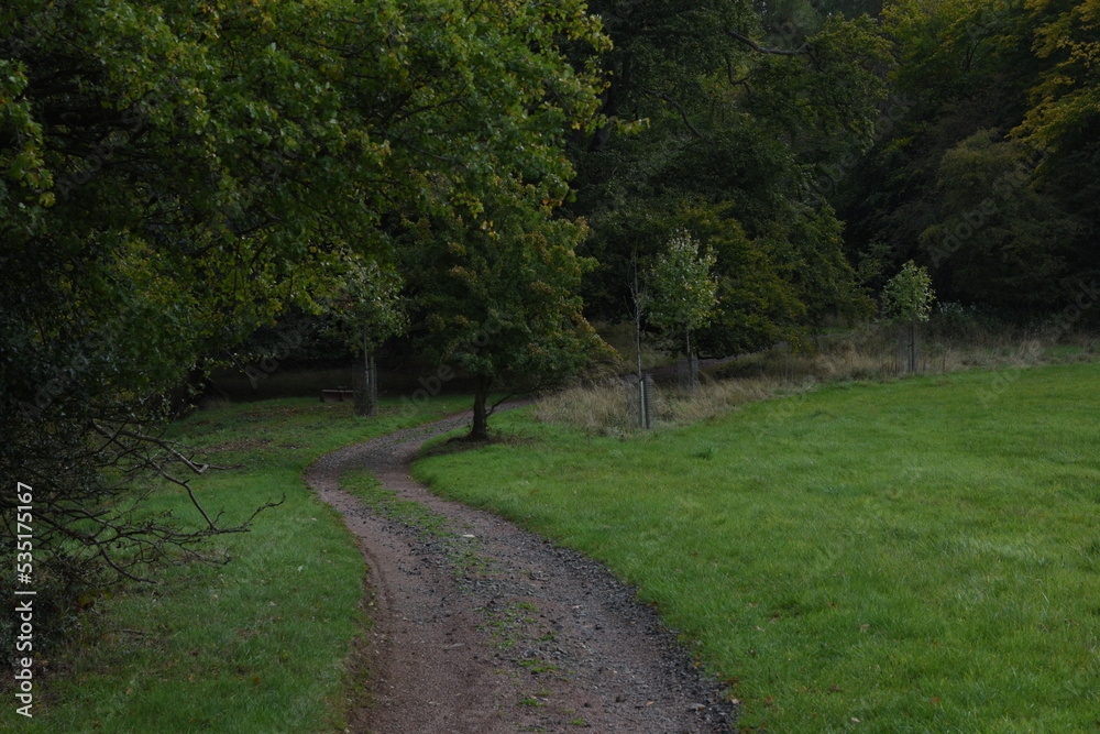 a footpath traveling though the new park at hagley