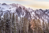 Panoramic winter Alps mountain landscape