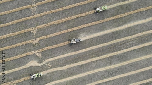 Harvester machines working in wheat field. Combine agriculture machine harvesting golden ripe wheat field. Agriculture, rich harvest. Food crisis. The work of technology in the fields. Grain, ears.