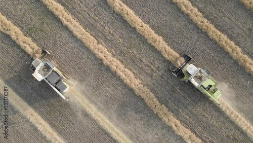 Harvester machines working in wheat field. Combine agriculture machine harvesting golden ripe wheat field. Agriculture, rich harvest. Food crisis. The work of technology in the fields. Grain, ears.