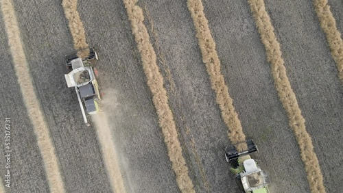 Harvester machines working in wheat field. Combine agriculture machine harvesting golden ripe wheat field. Agriculture, rich harvest. Food crisis. The work of technology in the fields. Grain, ears.
