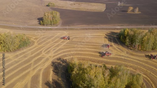 Harvester machines working in wheat field. Combine agriculture machine harvesting golden ripe wheat field. Agriculture, rich harvest. Food crisis. The work of technology in the fields. Grain, ears.