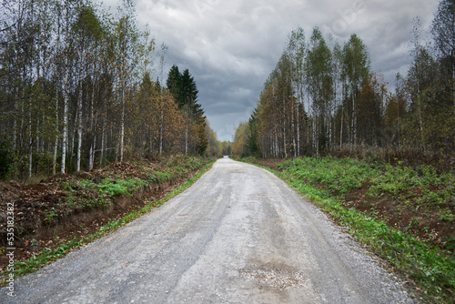 Road through forest trees and cloudy sky