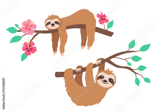 Cute sleeping and Hanging sloth on branch of tree with leaves and tropical flowers. Vector illustration in flat style.